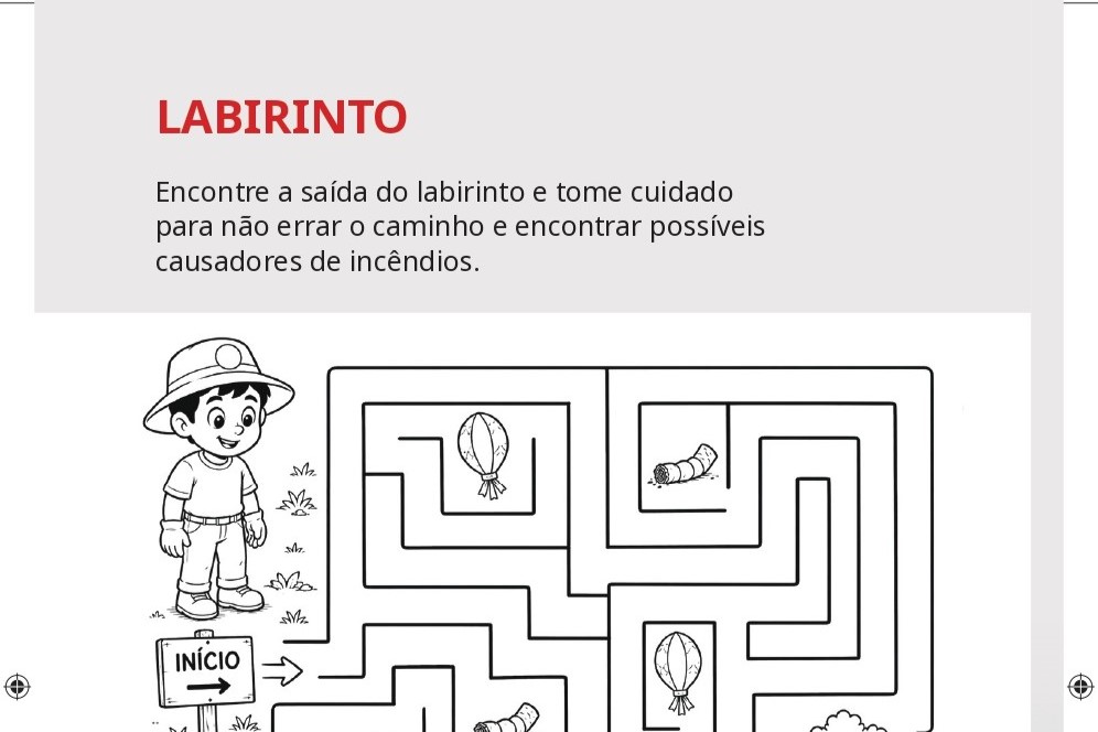 ONG SOS Rio Dourado e instituições parceiras lançam a Cartilha Passatempo de Combate aos Incêndios